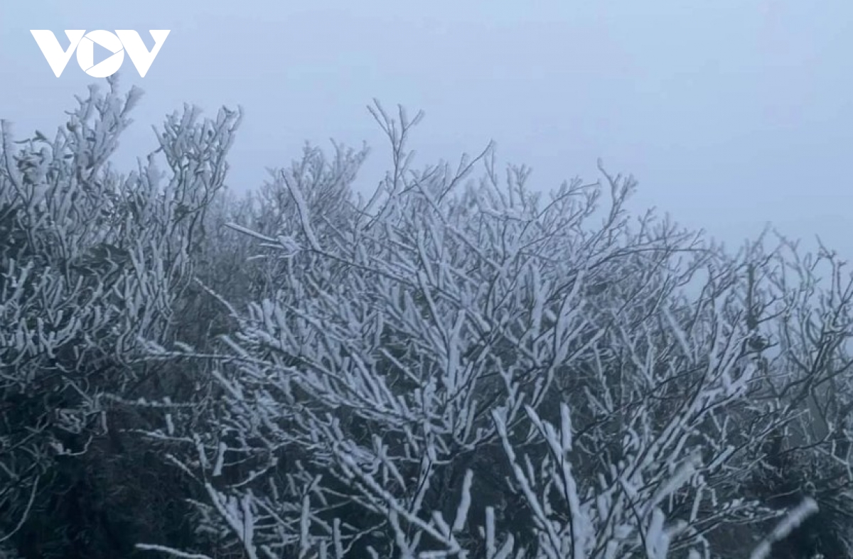 Northern Vietnam braces for deep freeze from November 17